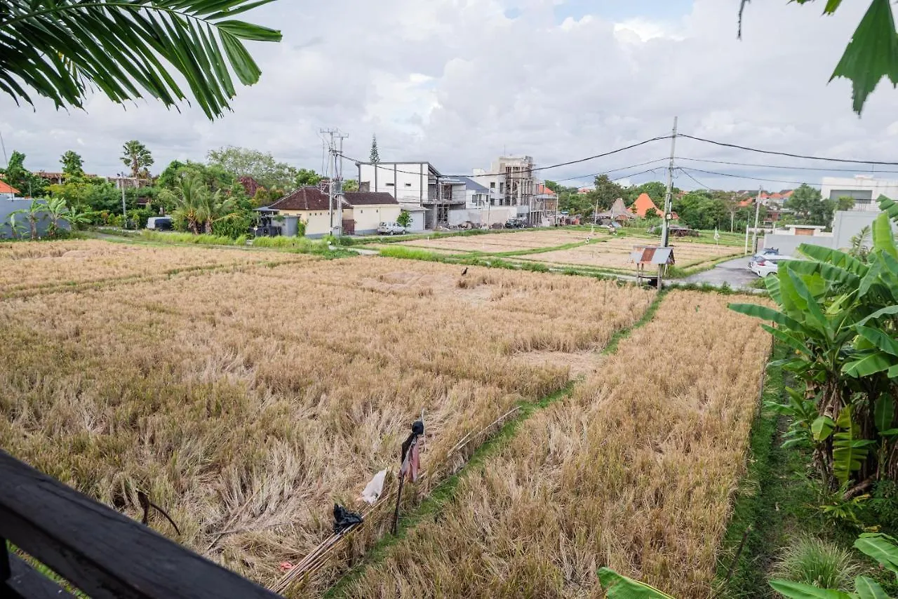 Villa Spirit 4 Bedroom - Canggu