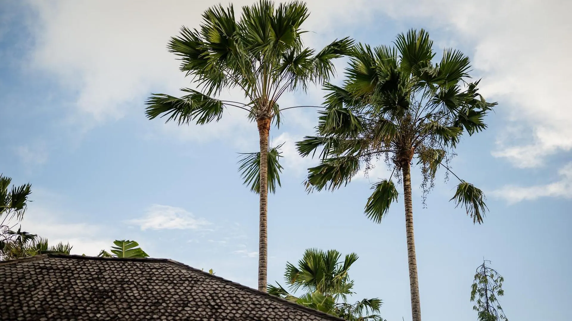 Villa Spirit 4 Bedroom - Canggu Indonésie
